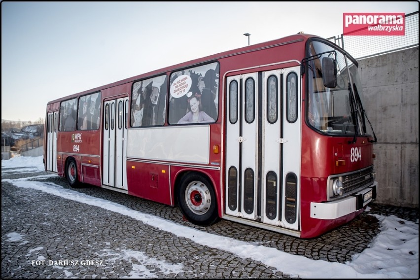 Ikarusa należącego do Jarosława Stachowiaka można wynajmować...