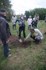 Posadzili dęby, aby upamiętnić tych, którzy zostali wywiezieni na Sybir [ZDJĘCIA]