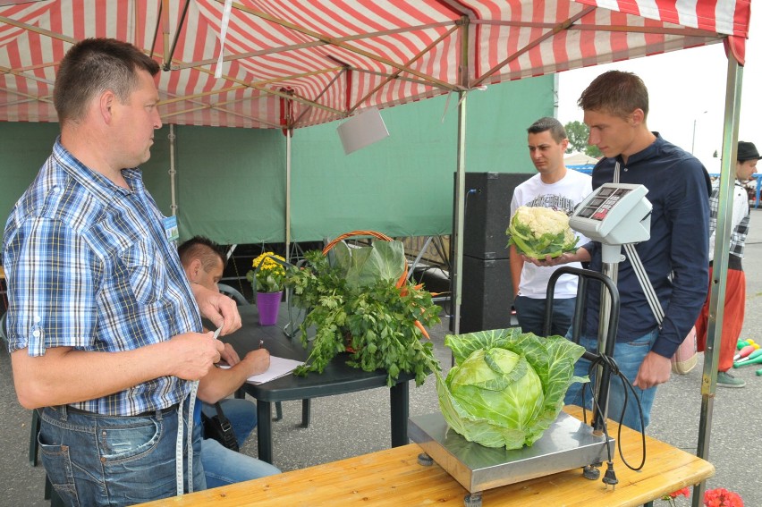 Dzień Nowalijki w Piątku już po raz jedenasty [ZDJĘCIA]