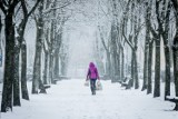 Pogoda na Nowy Rok dla Dolnego Śląska. Zamiecie śnieżne i trudne warunki na drodze