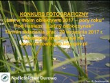 Konkurs fotograficzny Nadleśnictwa Durowo 