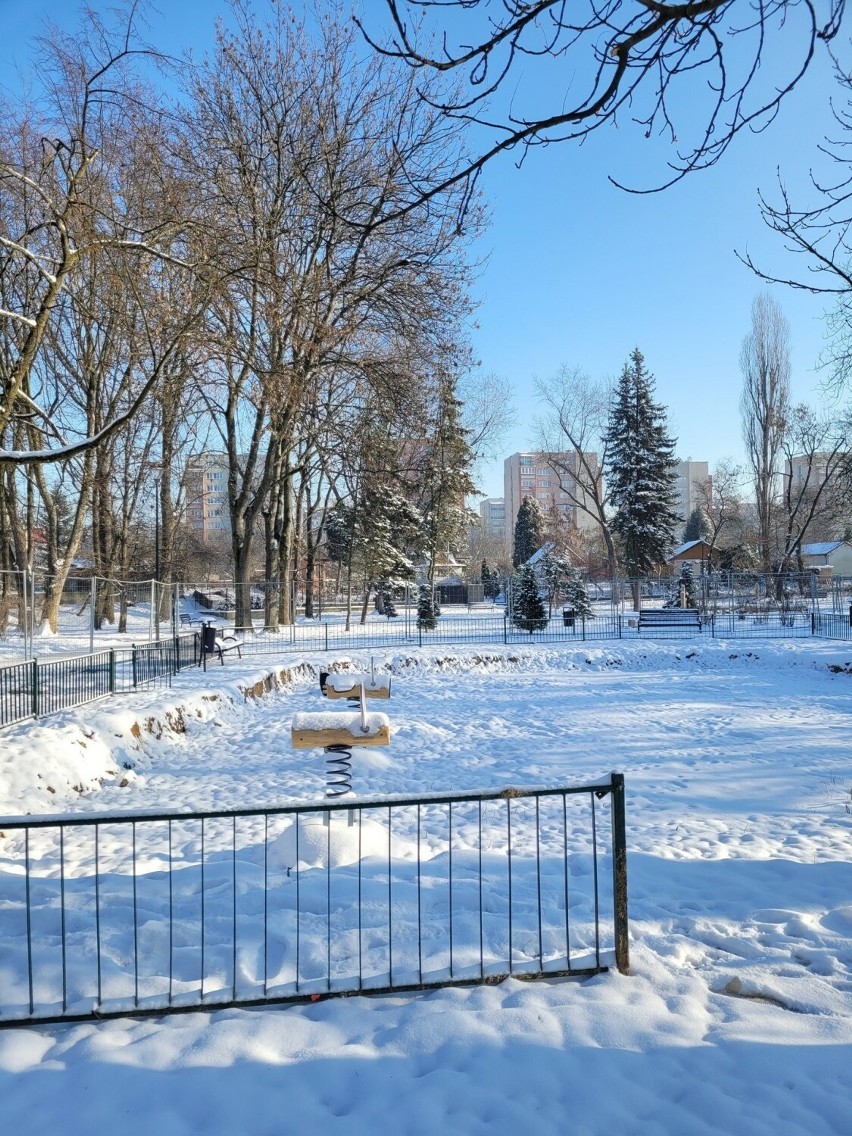 W tym krakowskim parku im. Stanisława Wyspiańskiego każdy znajdzie coś dla siebie. Zachwyca nawet zimą!
