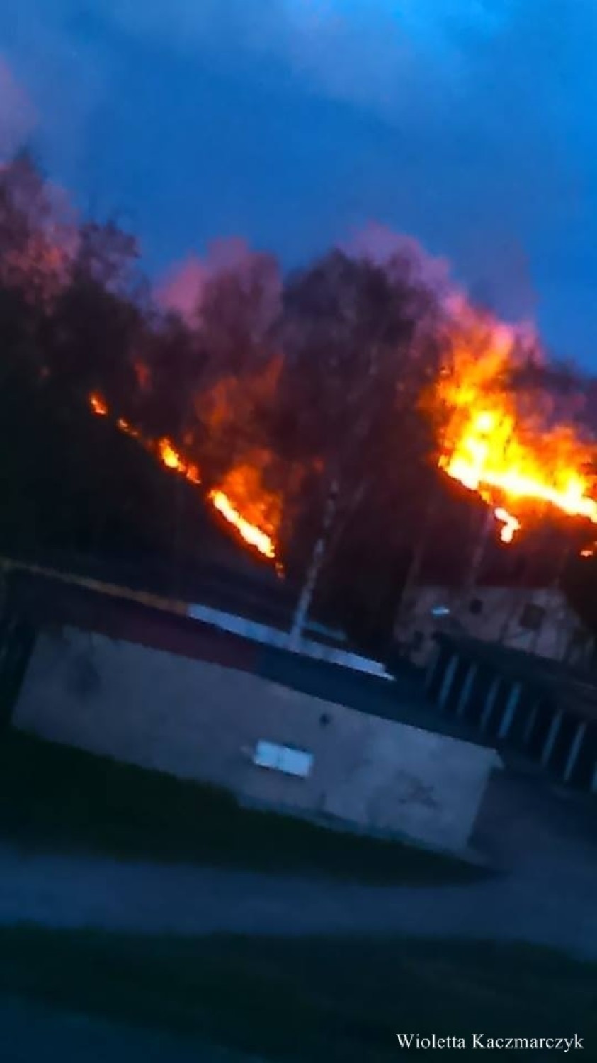 Pożar w Niedobczycach