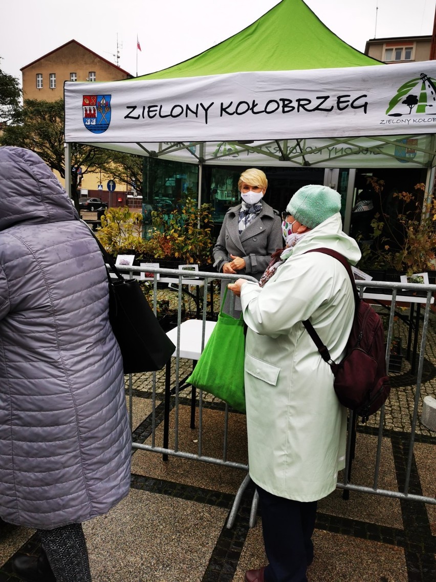 W centrum Kołobrzegu rozdali 500 sadzonek kwiatów. Za plastikowe nakrętki i elektroodpady