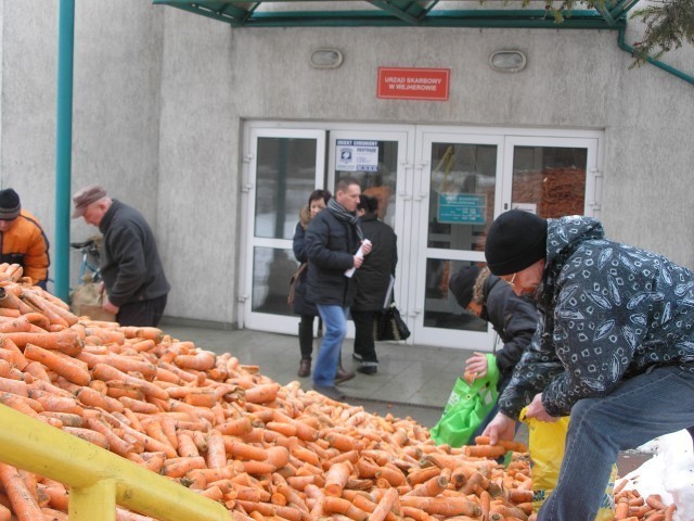 Protest grupy rolnej pod skarbówką w Wejherowie - przed drzwiami wylądowały tony marchwi [ZDJĘCIA]