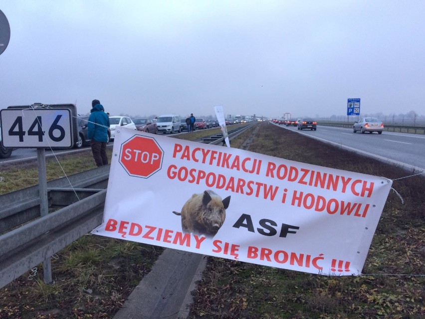 Protest na autostradzie A2. Rolnicy zablokowali dojazd do Warszawy. Korek od nieczynnych bramek pod Pruszkowem