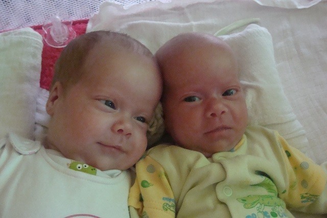 Siostry Łucja i Laura Kajdańskie przyszły na świat 16.02 w szpitalu w Rudzie Śląskiej. Są córkami Kamili i Tomasza. Mieszkają w Lgocie Górnej.