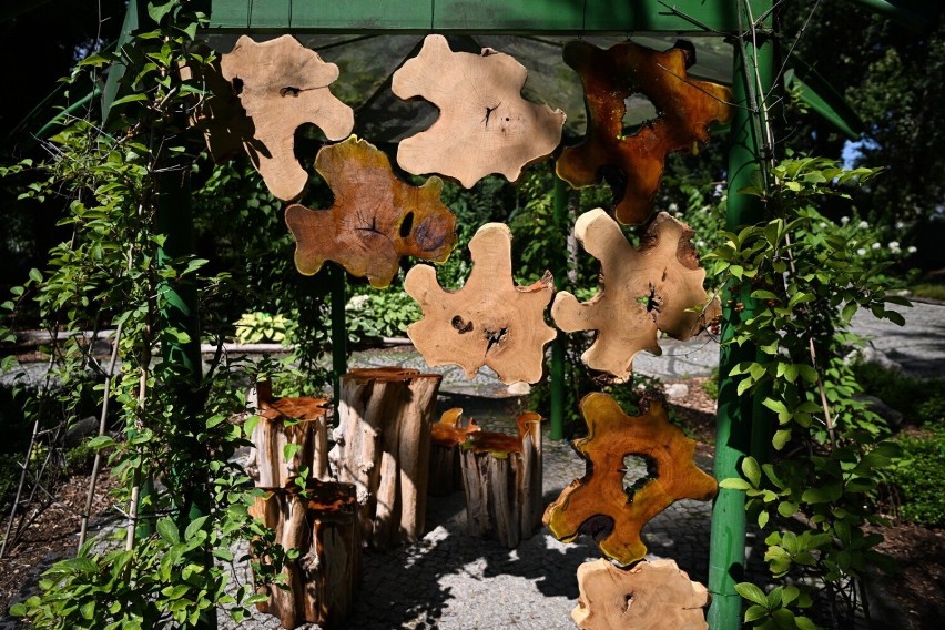 Klimatyczne rzeźby z wikliny w Arboretum w Bolestraszycach. Zobacz zdjęcia!