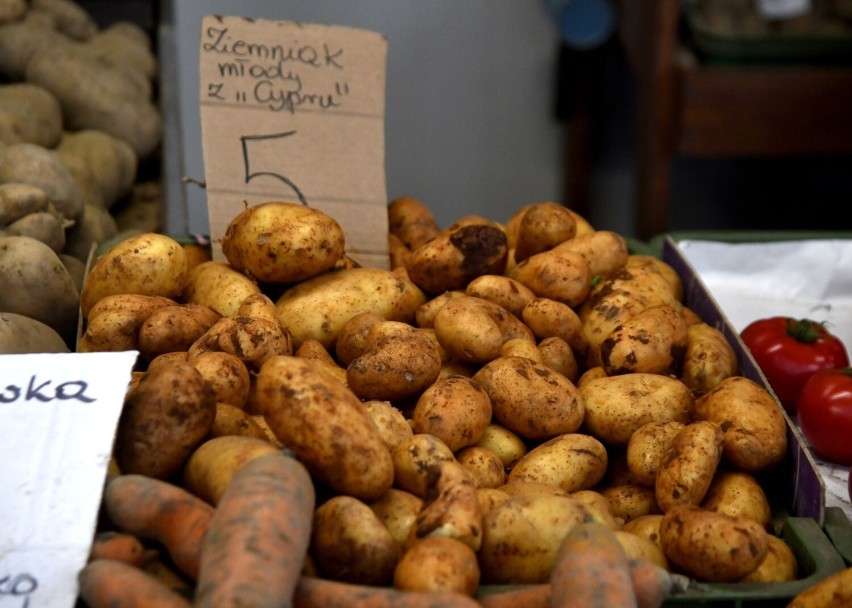 Młode ziemniaki z Cypru kosztują 5 złotych za kilogram.
