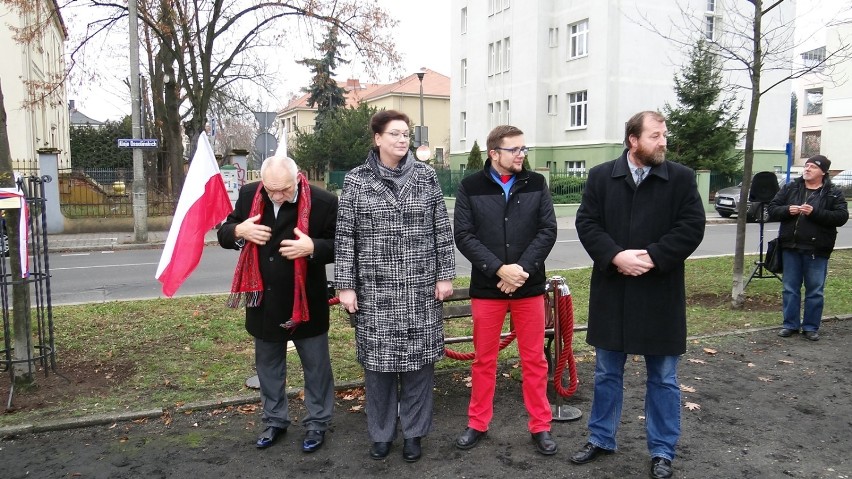 Kabaret Starszych Panów ma swój dąb w Bydgoszczy [zdjęcia, wideo] 
