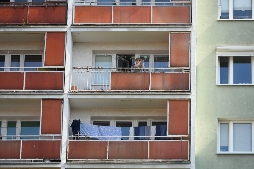 Na całym świecie 7 kwietnia obchodzony jest Światowy Dzień...