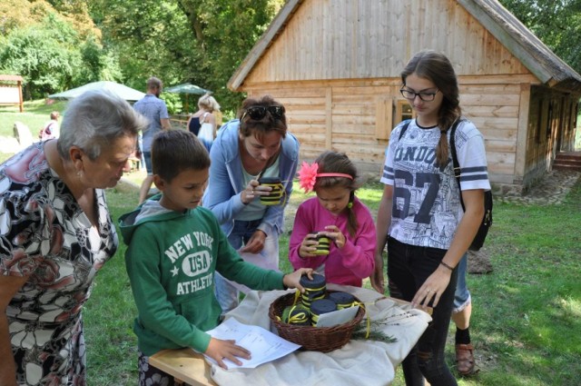 Wielki Dzień Pszczół w Gołuchowie