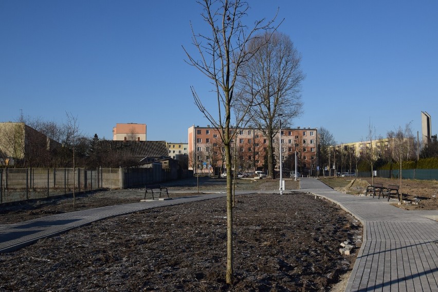 Powstaje nowy park w Zduńskiej Woli - projekt Zielonego Budżetu