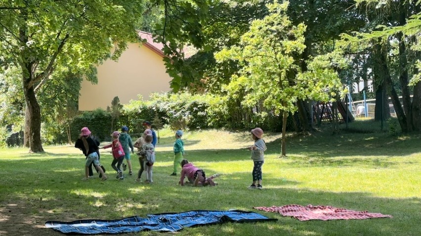 Piknik z okazji dnia dziecka