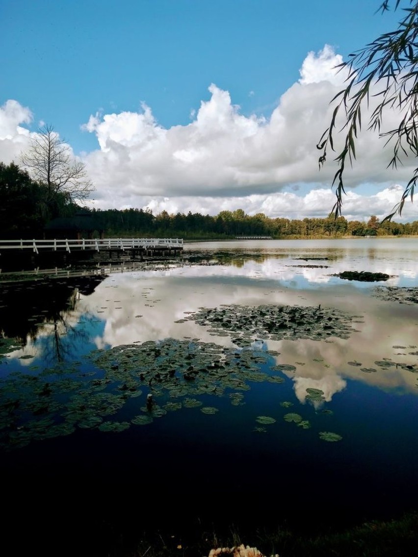 Wolsztyn jest piękny! Zobacz jesień w obiektywach czytelników