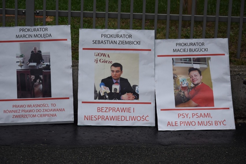 Protest w Jeleniej Górze: nie dla patologicznych skłonności prokuratury! [GALERIA ZDJĘĆ]