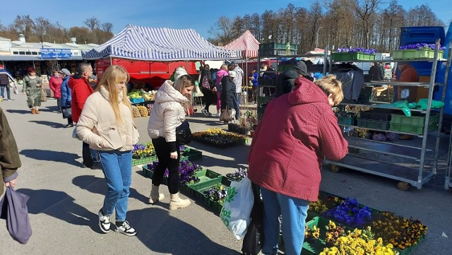 Wiosenna pogoda sprawiła, że mieszkańcy chętnie robili zakupy w sobotę, 18 marca na targowisku miejskim w Ostrowcu Świętokrzyskim.