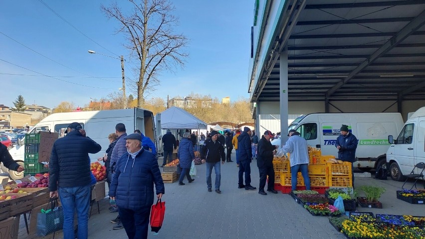 Warzywa i owoce na targowisku miejskim w Ostrowcu Świętokrzyskim. Nadal droga cebula. Jakie były ceny? Zobacz zdjęcia