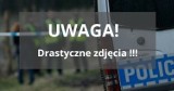 rzerażające odkrycie pod Częstochową! Zwłoki zakopane w lesie - makabryczne zabójstwo! Policja prosi o wsparcie w identyfikacji ofiary