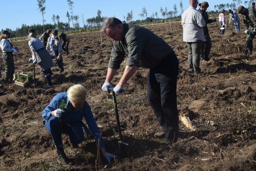 Akcja „sadziMY” z Parą Prezydencką. Prezydent RP Andrzej Duda i Pierwsza Dama Agata Kornhauser-Duda wzięli udział w sadzeniu lasu