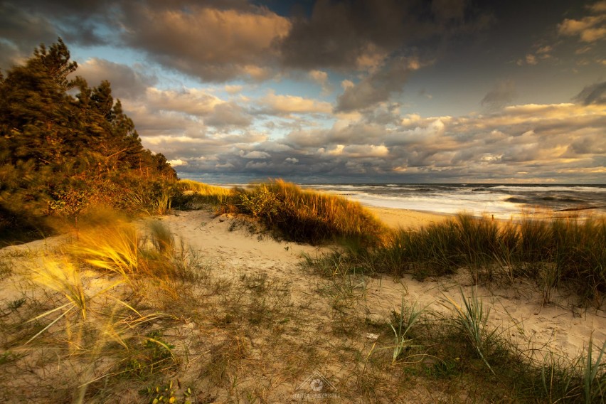 Foto Powiat Pucki: sztormowy poranek na plaży w Kuźnicy....