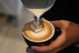 Latte Art w Szczecinie. Zawody odbędą się już w najbliższą sobotę! [ZDJĘCIA]