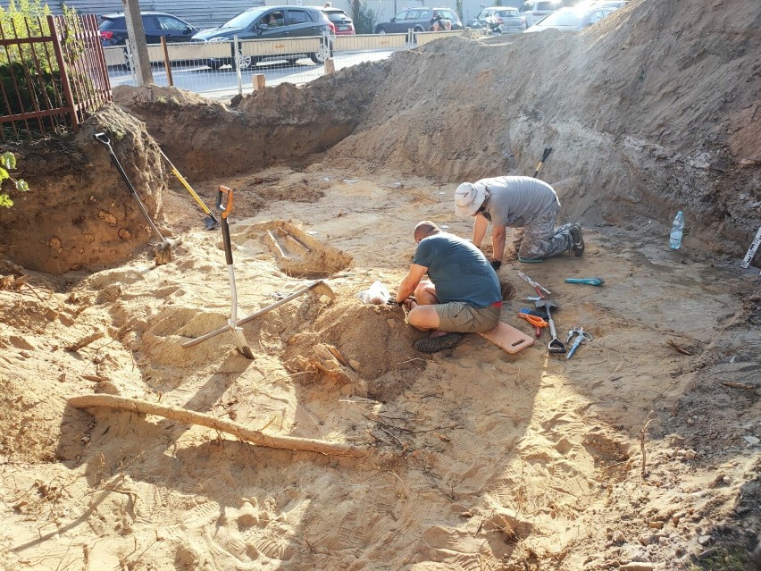 Archeolodzy odkopali szczątki pochodzące z XIX-wiecznego...