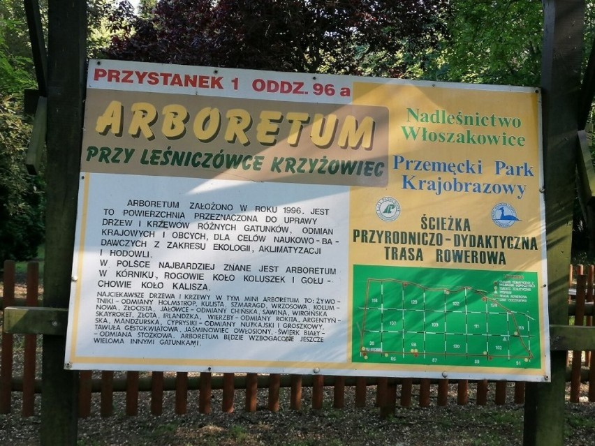 Pomysł na majówkę - arboretum w Krzyżowcu niedaleko Leszna 