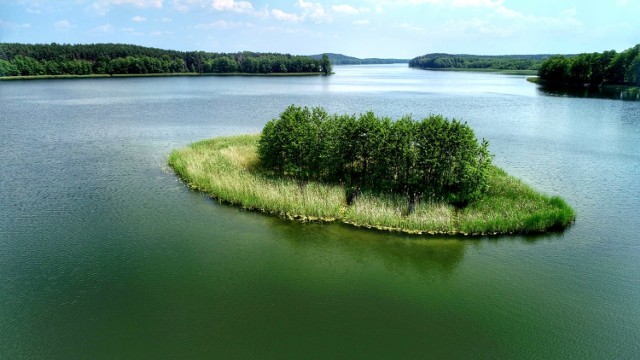 Jezioro Chłop koło Pszczewa