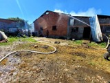 Pożar stodoły w Rzeczkowie pod Tomaszowem. W akcji 10 zastępów straży, część zwierząt zginęła w pożarze [ZDJĘCIA]