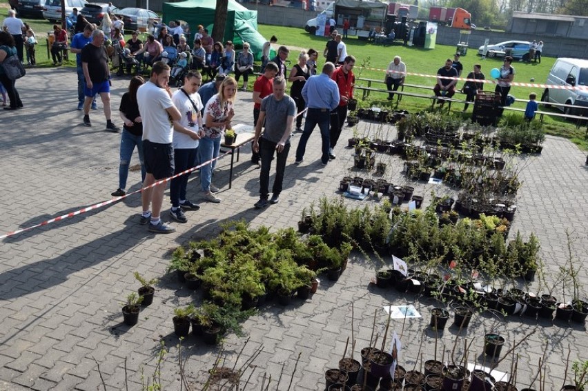 Akcja ekologiczna "Drzewko za odpad" w Zapolicach już w sobotę