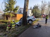 Rychnowo Żuławskie. Samochód osobowy uderzył w drzewo.Kierowca zakleszczony w pojeździe