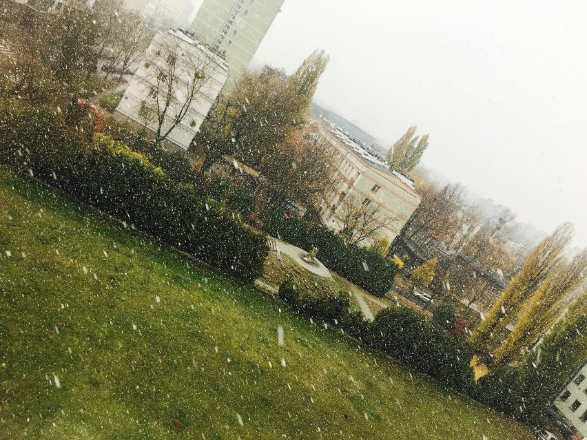 Pierwszy śnieg w Warszawie już spadł. Przysyłajcie nam swoje...