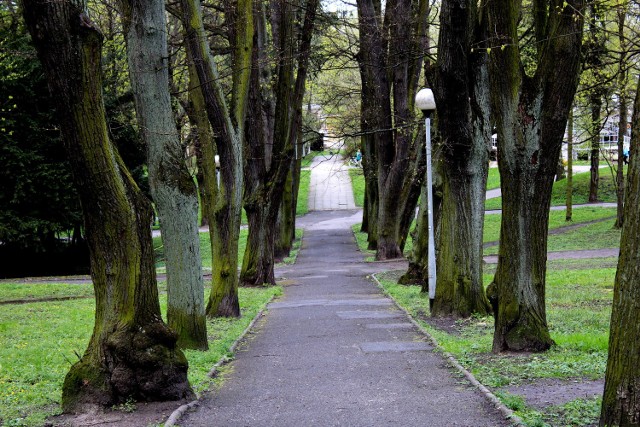 Park Tysiąclecia w Zielonej Górze