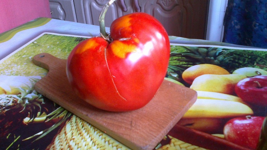 Kilogramowy pomidor - OLBRZYM!