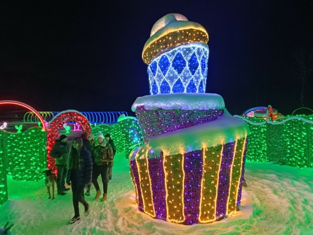 Park Miliona Świateł w Zabrzu robi zimą ogromne wrażenie.