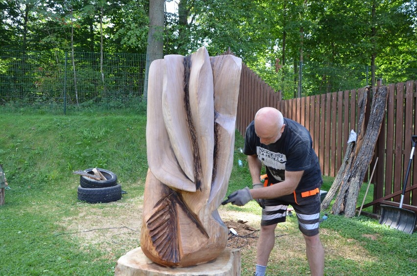 Hajnowski Plener Rzeźby w Drewnie kończy się w sobotę