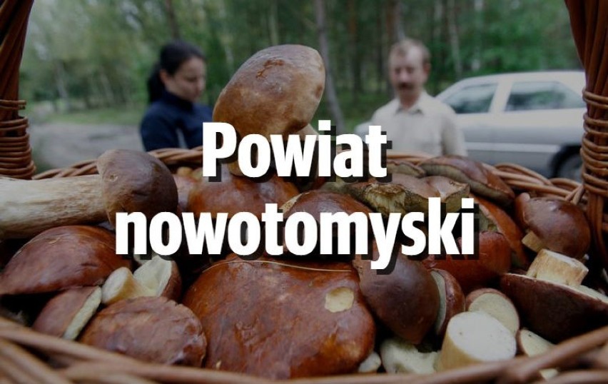 Nowy Tomyśl
W lesie koło Nowego Tomyśla dużo podgrzybków i...