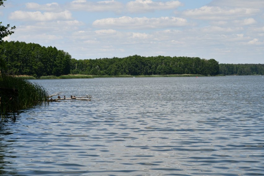 Szukacie miejsca na weekendowy wypoczynek? Sprawdźcie jezioro nieopodal Grodziska 