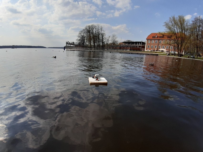 Wieże wiertnicze na Trzesiecku w Szczecinku? Poszukiwania ropy pod dnem jeziora [zdjęcia]