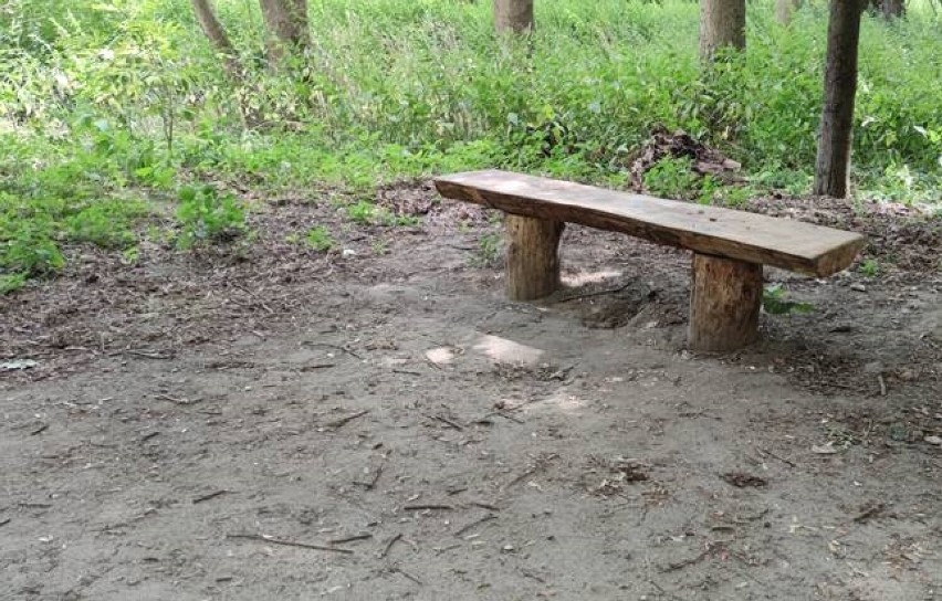 W Parku Piastowskim stanęły dodatkowe ławki