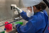 KORONAWIRUS. We Wrocławiu otwarto laboratorium do badania próbek na obecność wirusa z Wuhan