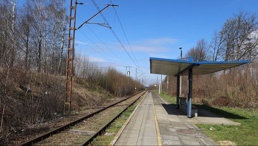 Tak obecnie prezentuje się przystanek kolejowy Suszec...