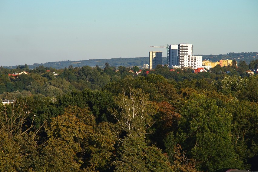 Niesamowity widok na Rzeszów ze szczytu wieżowca. Jest nowocześnie, ale też bardzo zielono