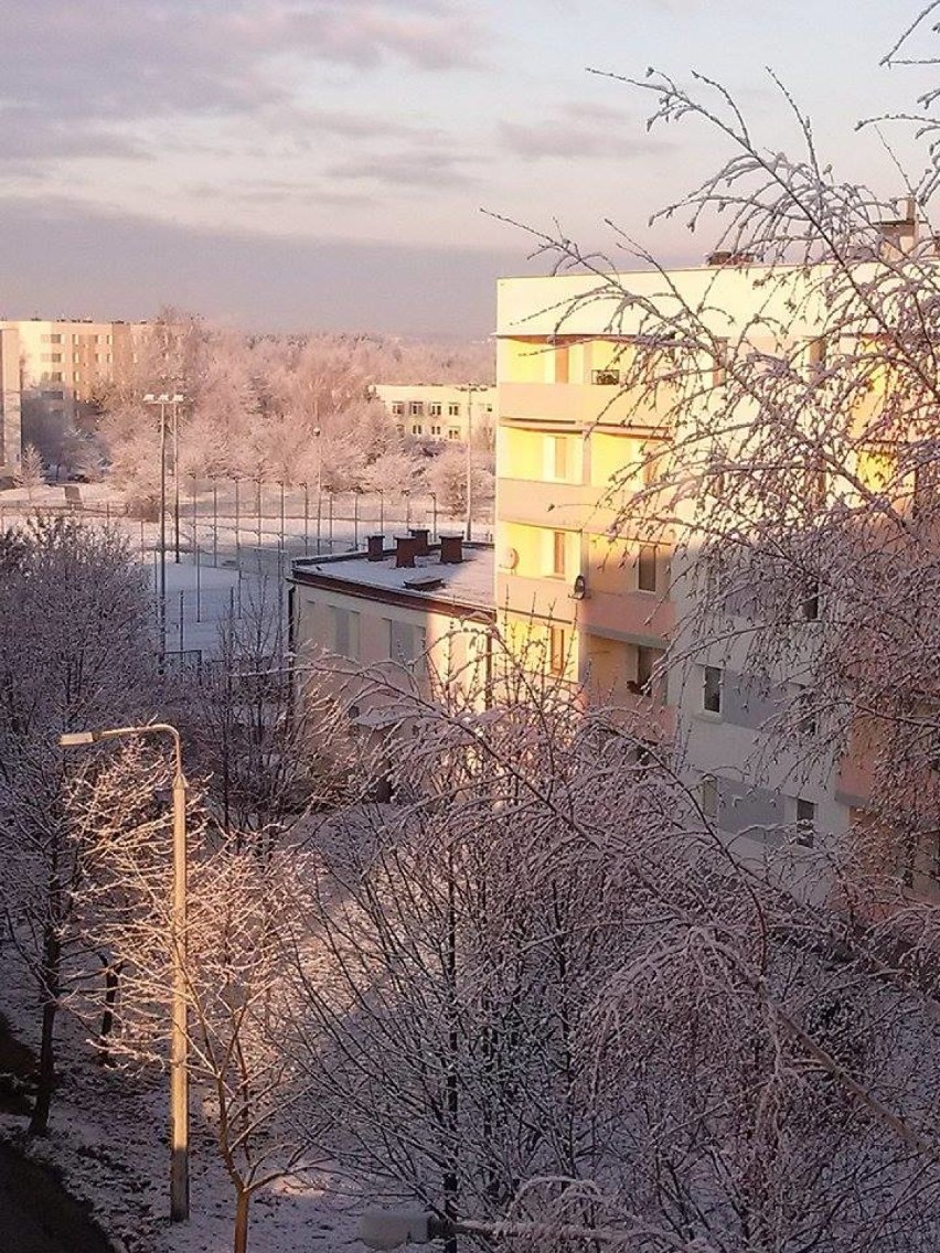 Pierwszy śnieg na Mazowszu! ❄️ ❄️ ❄️ [ZDJĘCIA]