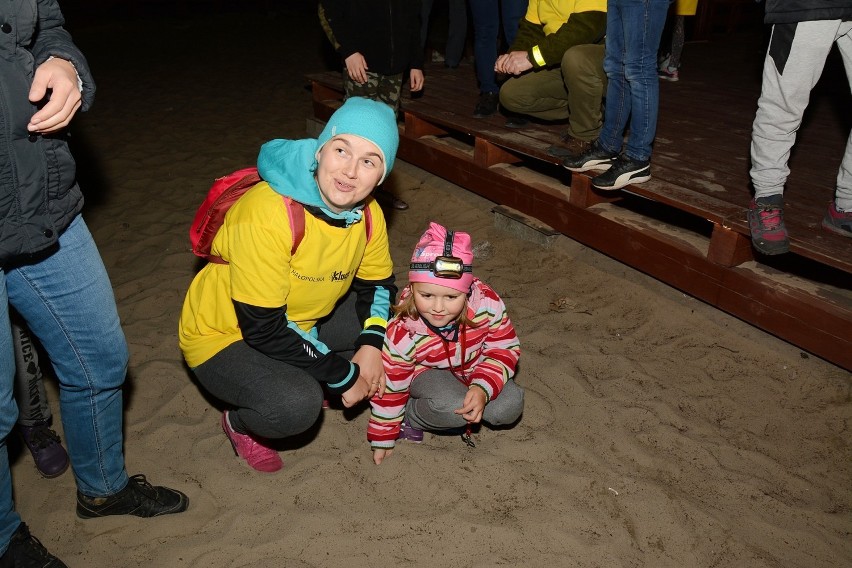 Ponad sto osób wzięło udział w biegu świetlika na Pustyni Błędowskiej