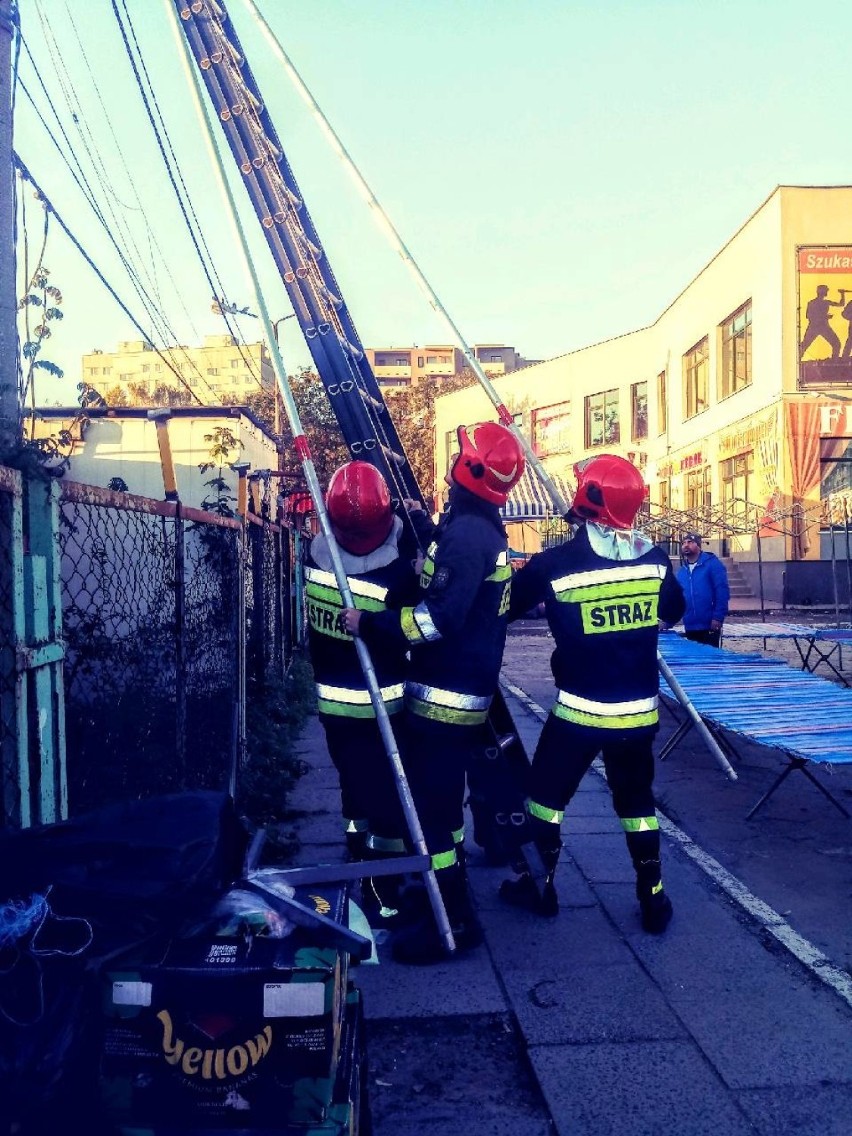 Akcja strażaków w Kielcach. Ratowali... gołębia [ZDJĘCIA]