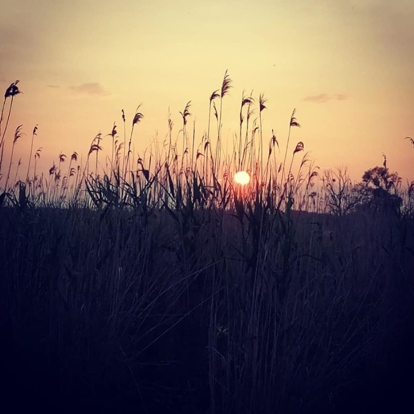 Zachód słońca - zdjęcia internautów [Zdjęcia]  