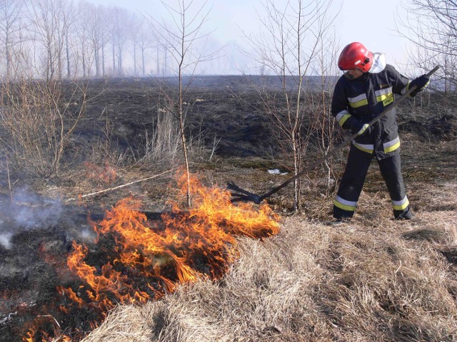 Sieradzcy strażacy w pierwszej kolejności zajęli się ogniem od strony skansenu