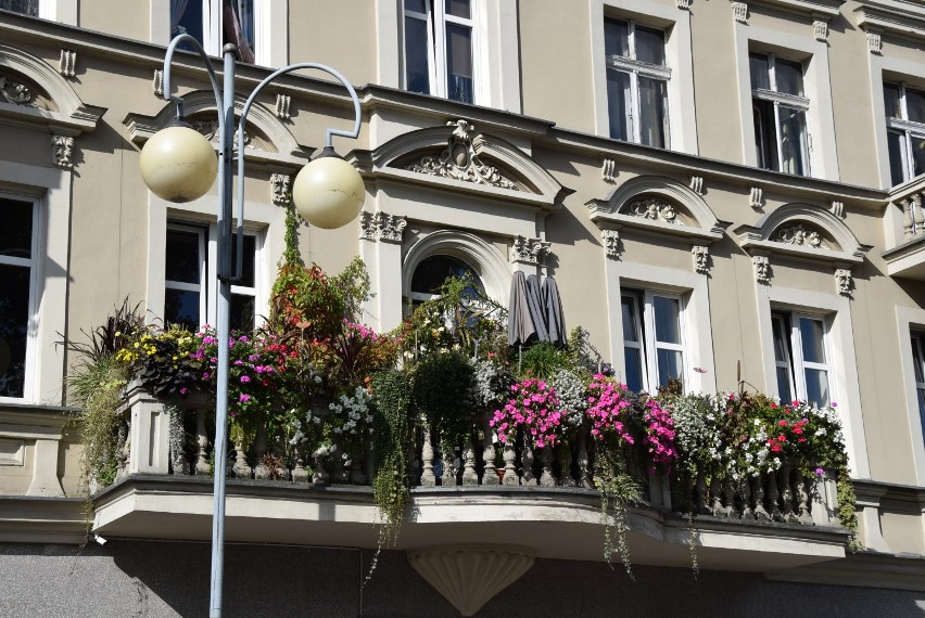 Zobacz najpiękniejsze balkony i loggie w Kaliszu